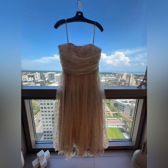 Joanna August Dresses & Skirts - Joanna August mesh star sparkle midi dress